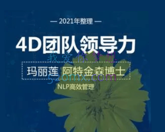 玛丽莲：4D团队领导力课程录音及板书（深圳6天课程）