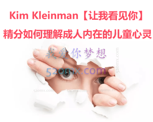 Kim Kleinman【让我看见你】精分如何理解成人内在的儿童心灵：对临床技术的启示和指引十二讲