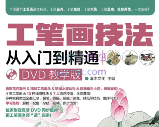 工笔画技法从入门到精通DVD教学版