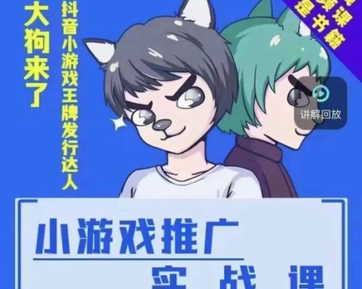 大狗来了:小游戏推广实战课