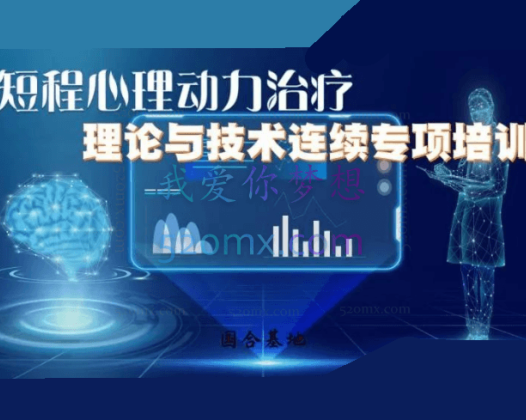「国合基地」Anne Mckay 短程心理动力治疗理论与技术连续专项培训 8次讲座不含督导
