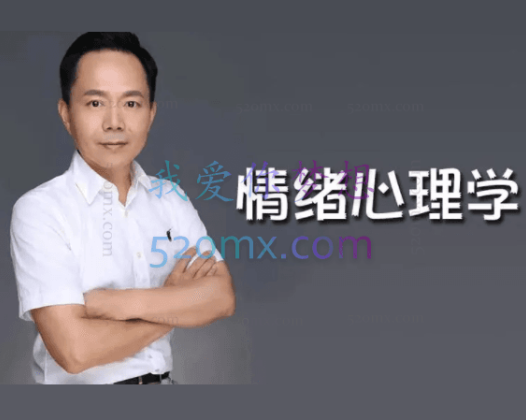 张维扬：咨询室中的情绪与情感