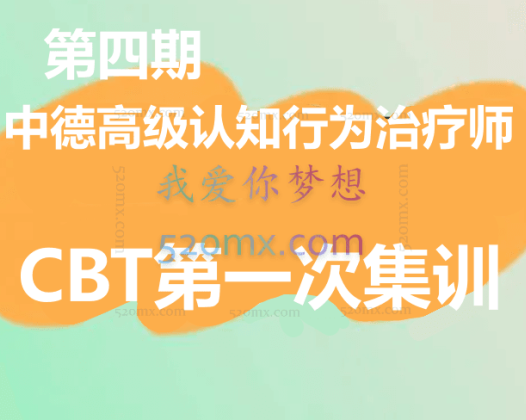 第四期中德高级认知行为治疗师连续培训项目CBT第一次集训