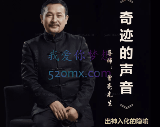 曾亮：奇迹的声音-出神入化的隐喻-解码艾瑞克森-解码隐喻现场录音