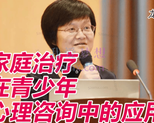 龙迪：家庭治疗在青少年心理咨询中的应用