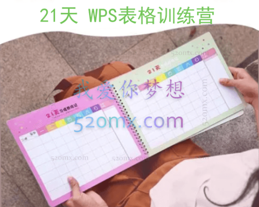 21天WPS表格训练营