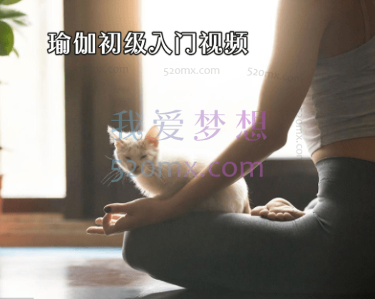 瑜伽初级入门视频