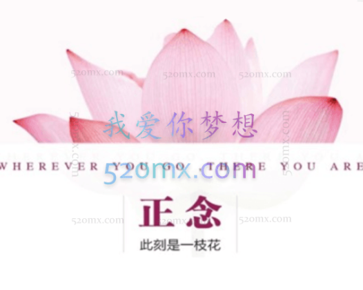 夏鹏【正念-此时是一支花】精读课