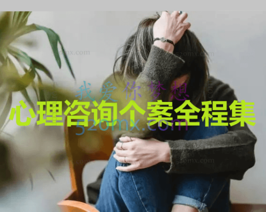 心理咨询个案全程集