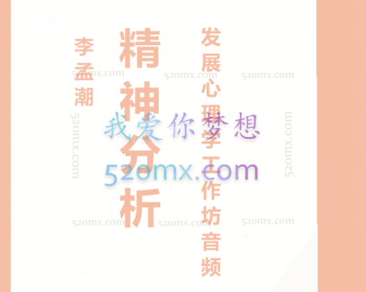 李孟潮“精神分析发展心理学”工作坊音频