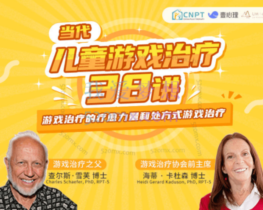 CNPT-当代游戏治疗的疗愈力量与处方式游戏治疗38讲