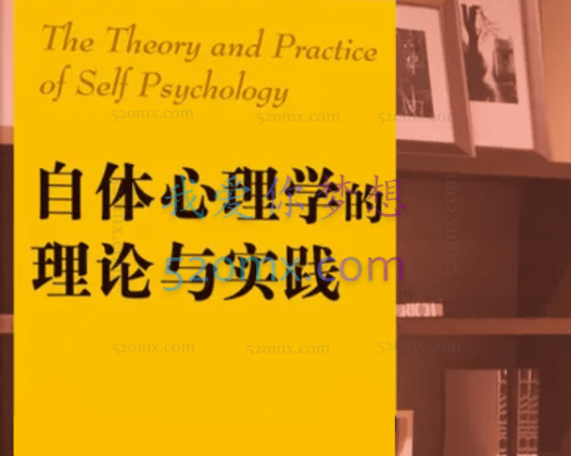 許豪沖：当代自体心理学的临床运用与治愈之道 视频+课件