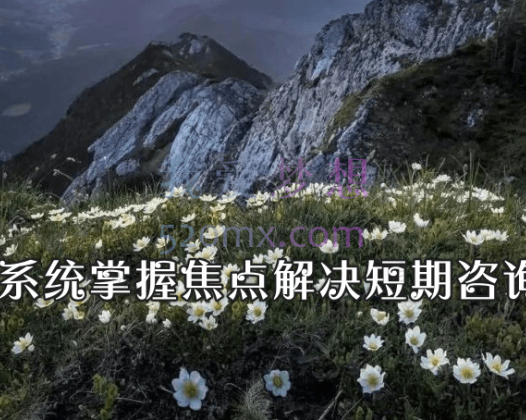 林祺堂:系统掌握焦点解决短期咨询（SFBT） 理论+案例 视频+课件