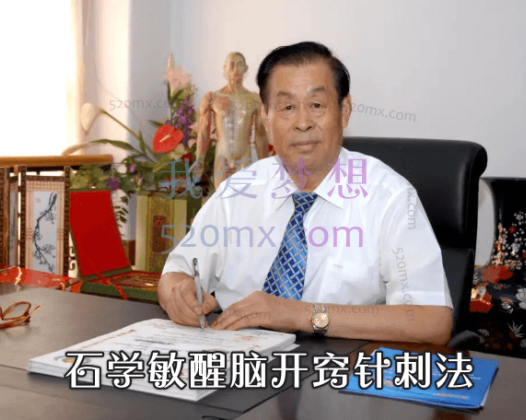 石学敏醒脑开窍针刺法（规范化，标准化，可复制性强之特点）