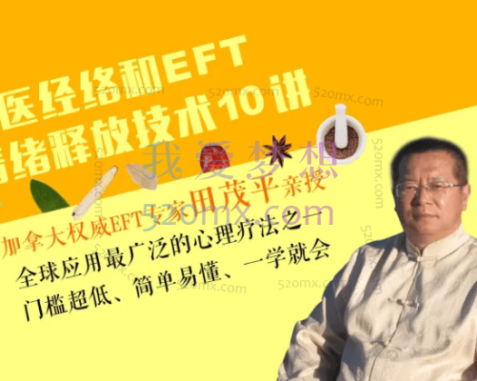 田茂平：中医经络理论和EFT情绪释放技术10讲