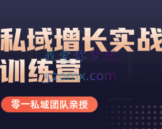 零一私域/馒头商学院：私域增长实战训练营