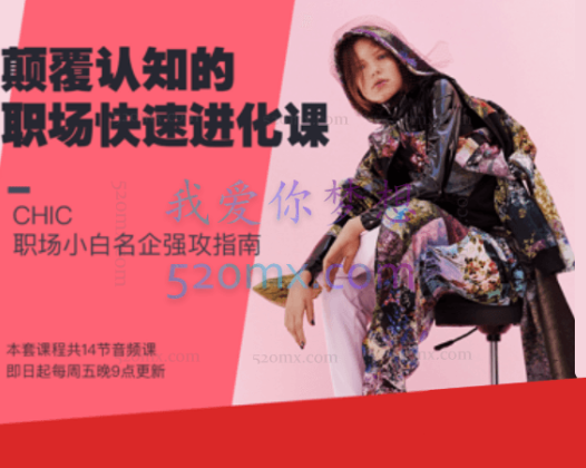 CHIC颠覆认知的职场快速进化课,职场小白名企强攻指南