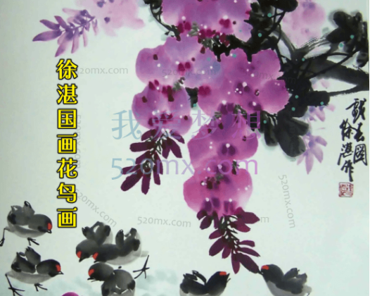 徐湛国画花鸟画64节