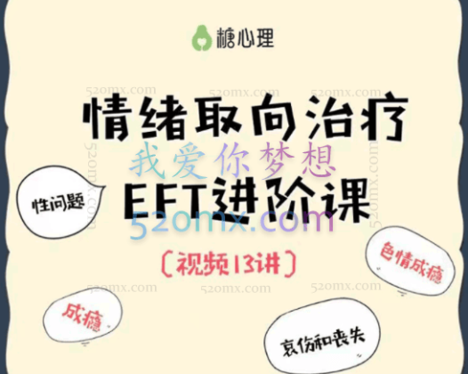 EFT夫妻咨询进阶核心13讲