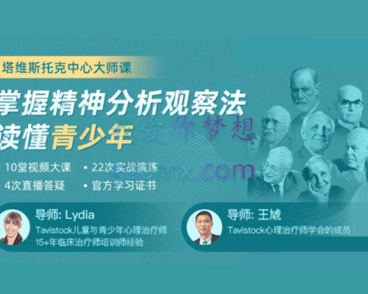 塔维斯托克，莉迪亚、王虓：掌握精神分析观察法读懂青少年