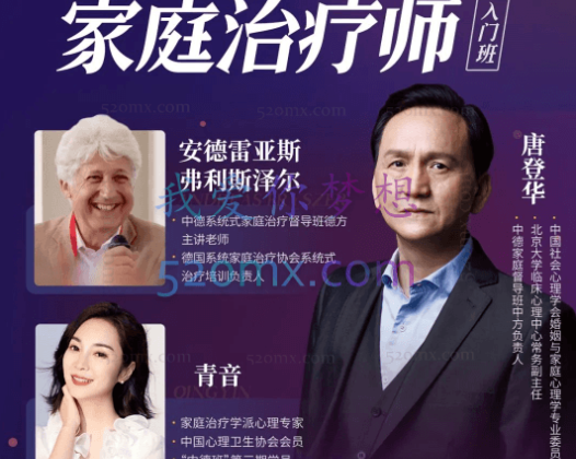 唐登华：家庭治疗师系统认证课程20讲全套【视频+音频+课件】