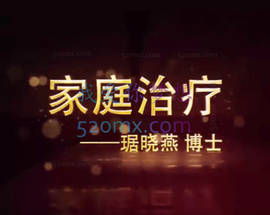 琚晓燕：家庭治疗技术与应用 基本理论+核心概念+技巧