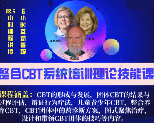 整合CBT团体系统培训理论技能课