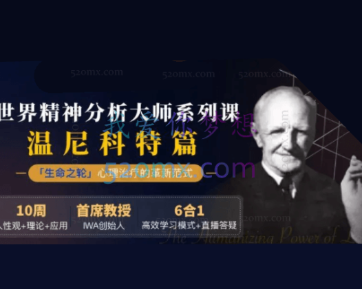 首届中国-巴西国际温尼科特精神分析取向心理咨询师第五期