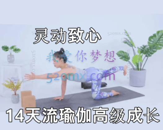 碧茜：灵动致心14天流瑜伽-高级成长
