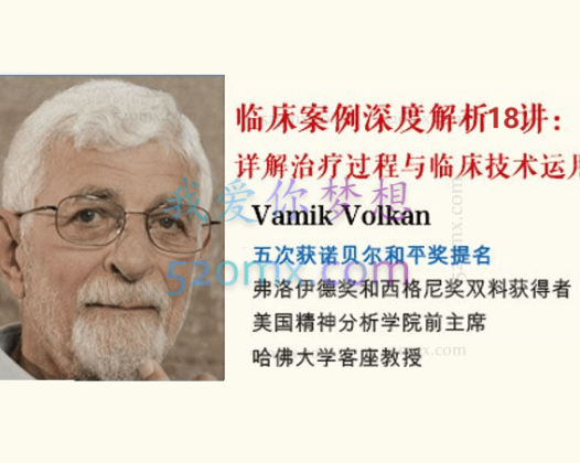Vamik大师精神分析核心概念与临床技术18讲