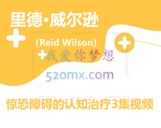 里德·威尔逊（Reid Wilson）惊恐障碍的认知治疗3集视频