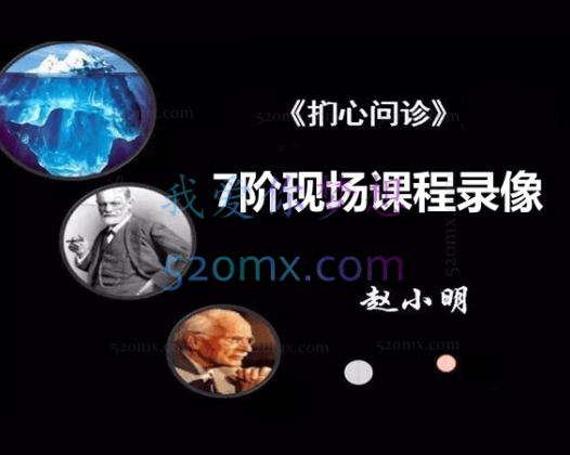 赵小明：扪心问诊7阶现场课程录像
