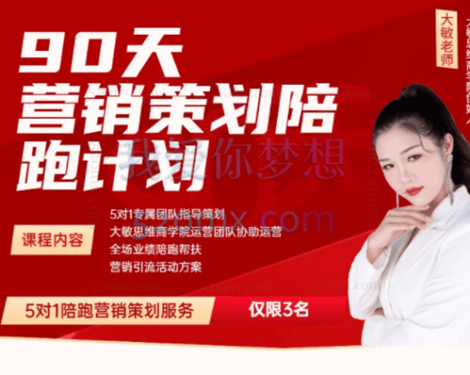 大敏思维:90天营销策划五对一陪跑,从商业定位、变现规划、微信打造IP/短视频打造IP、从0到拿到结果