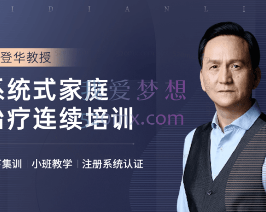 唐登华：地面课家庭治疗师长程系统培训项目四阶段 现场录音+课件