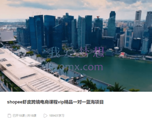 shopee虾皮跨境电商课程vip精品蓝海项目