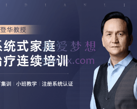 唐登华：家庭治疗师 长程系统培训 微课十讲 录音