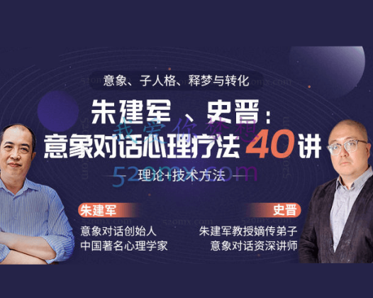 史晋、朱建军：意象对话心理疗法40讲 视频