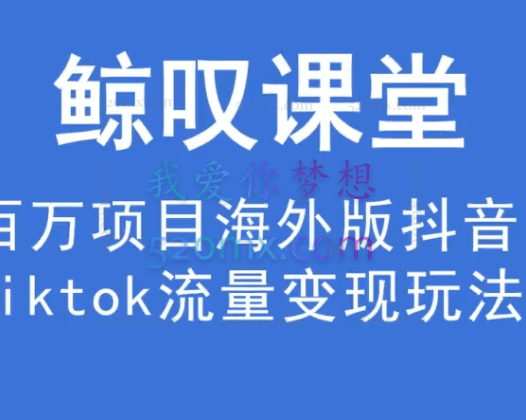 鲸叹号海外TIKTOK训练营（价值1980元）