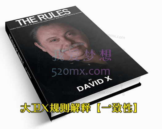 大卫X规则解释【一致性】