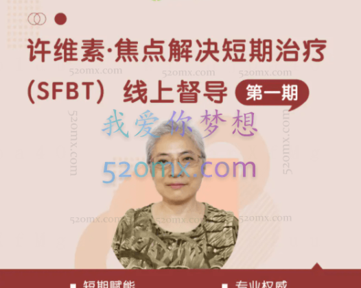 跟许维素系统学习焦点解决短期治疗（SFBT)三阶段9天现场课程录音