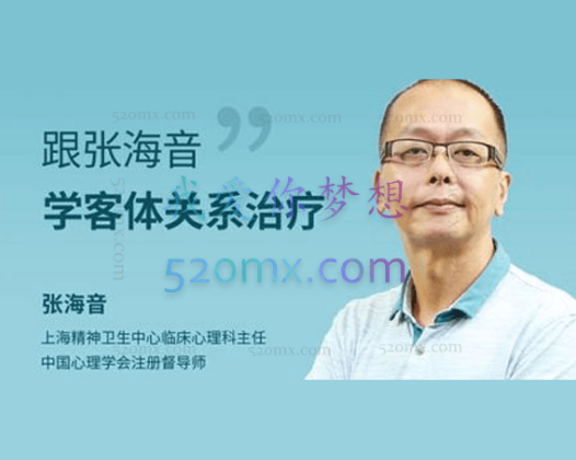 张海音：系统学习精神分析理论之客体关系治疗