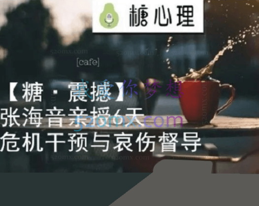 张海音：危机干预与哀伤辅导创伤修复督导 6天现场录音