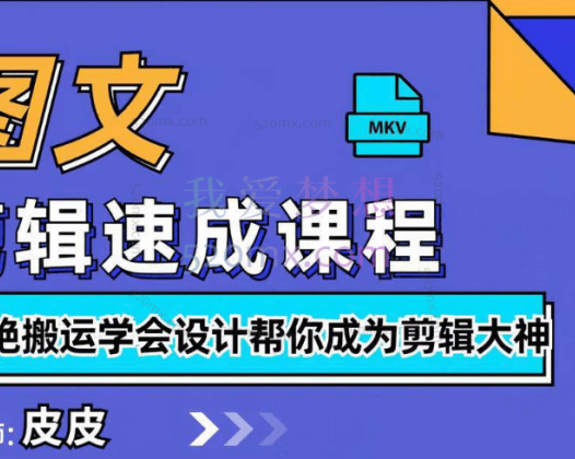 皮皮图文带货陪跑课程，拒绝搬运学会设计帮你成为剪辑大神 #2
