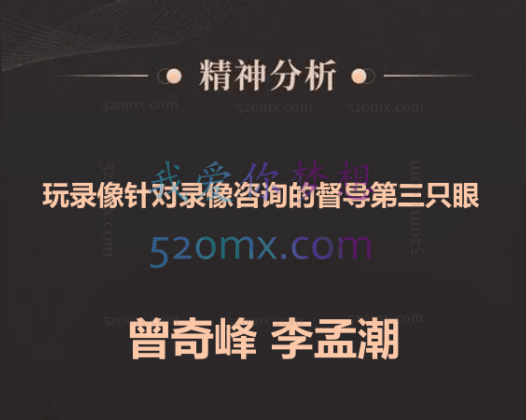 曾奇峰、李孟潮：玩录像针对录像咨询的督导第三只眼