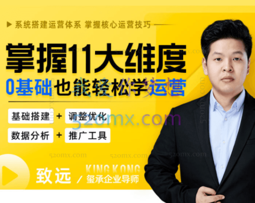 掌握11大维度,0基础也能轻松学运营