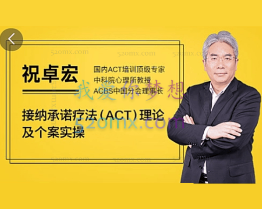 祝卓宏：ACT接纳承诺疗法理论个案实操视频课