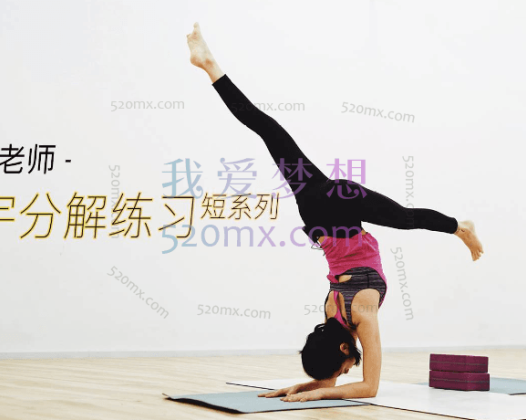 Liya Xiong-寰宇瑜伽分解练习短系列