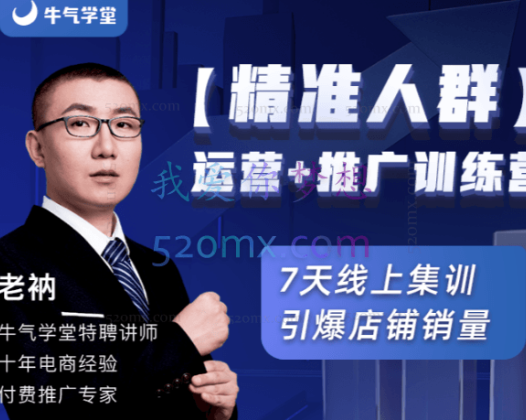 老衲淘宝【精准人群】运营+推广训练营