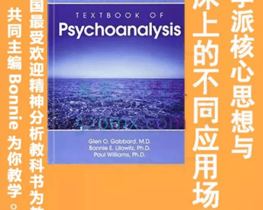 Bonnie讲精神分析各学派理论与临床应用场景18讲[视频+文字稿]
