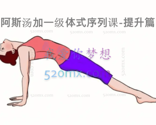 阿斯汤加一级体式序列课-提升篇